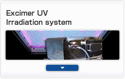 Excimer UV Irradiation system