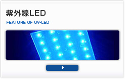 紫外線LED