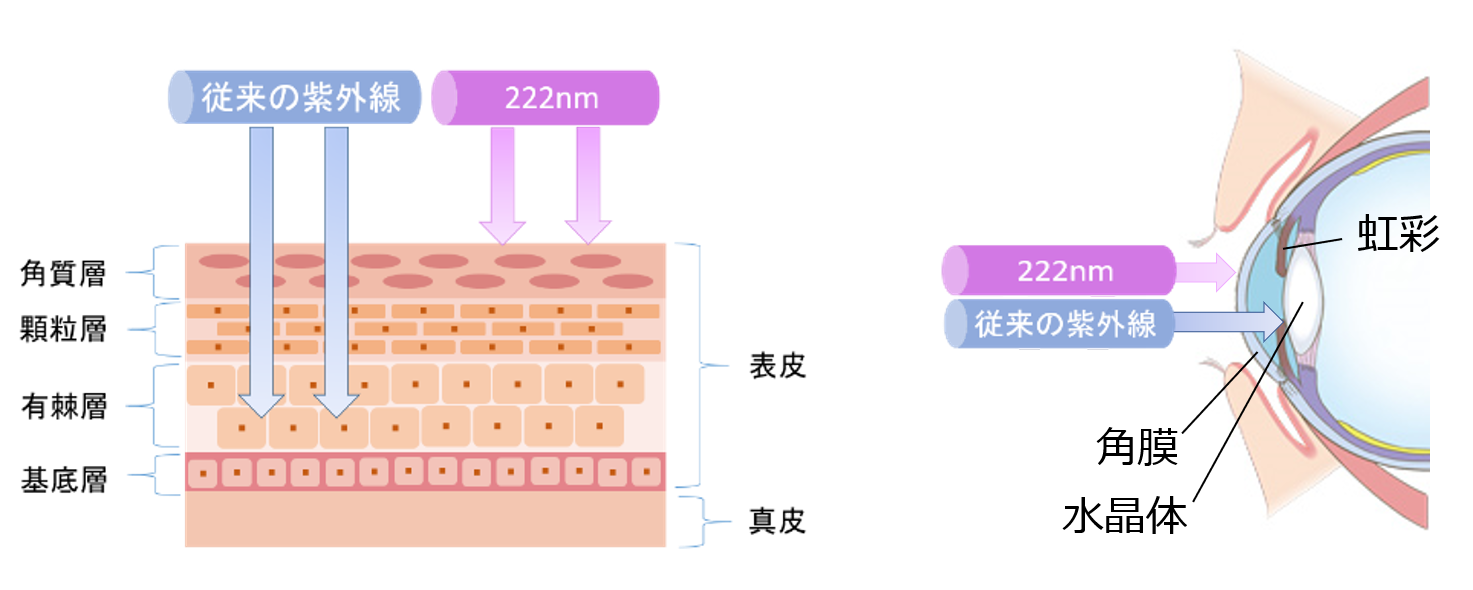 人体ダメージ