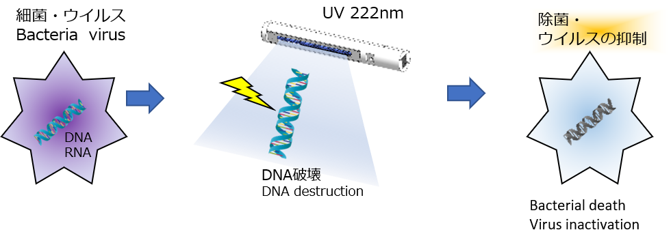 除菌のメカニズム