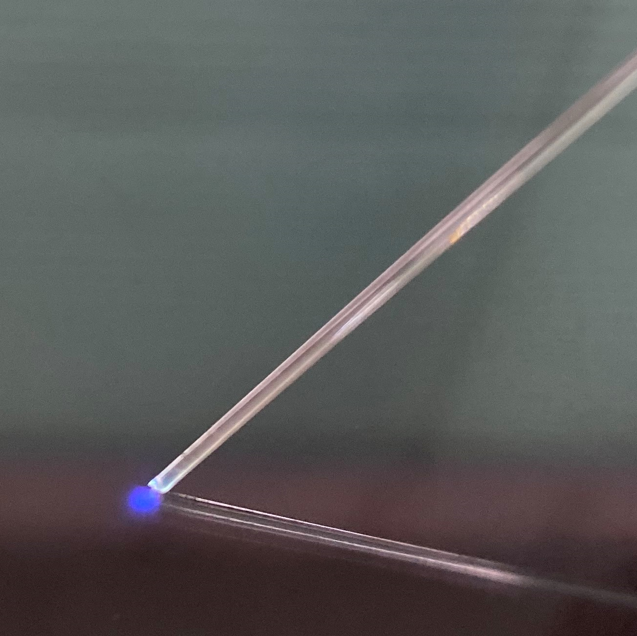 ファイバー写真_先端