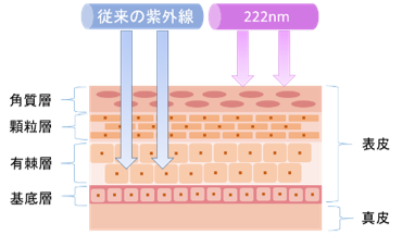 皮膚へのダメージ